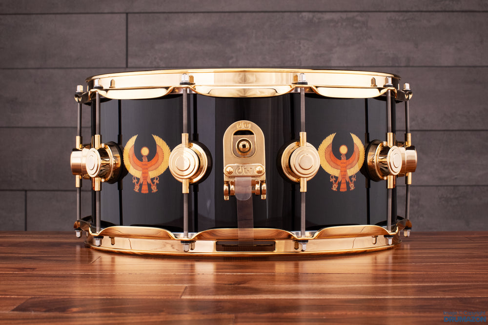 Dw drum deals cases