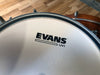 EVANS 10" UV1 COATED TOM / SNARE BATTER DRUM HEAD / OUT OF BOX STOCK