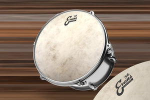 EVANS '56 CALFTONE TOM / SNARE DRUM BATTER HEAD (SIZES 8" TO 18")