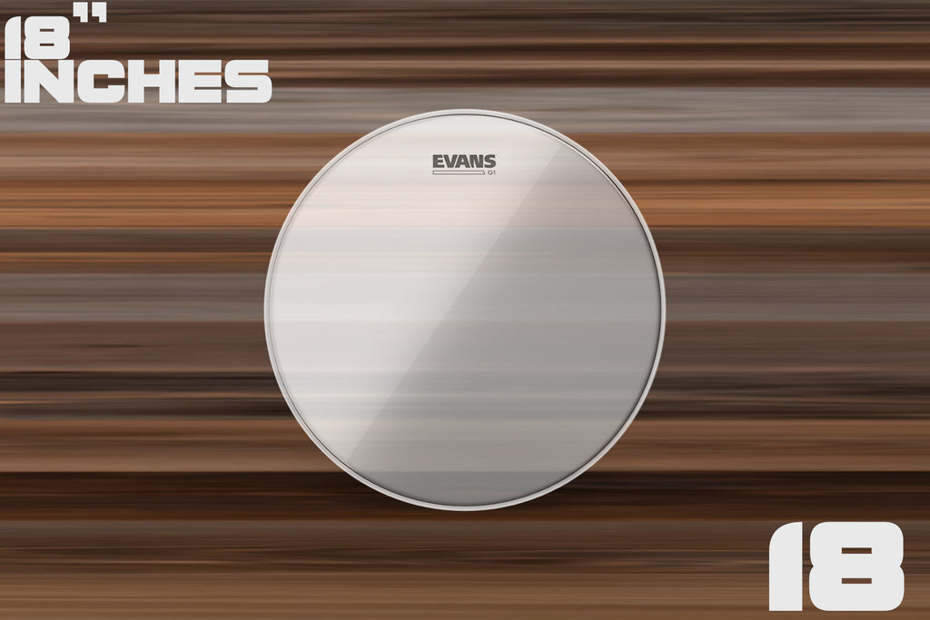 Evans on sale g1 clear