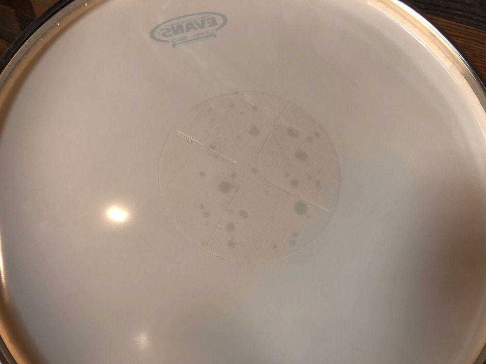 EVANS POWER CENTER REVERSE DOT SNARE BATTER DRUM HEAD SIZES 10