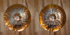 UFIP TIGER SERIES 14" HI-HAT CYMBALS (PAIR)